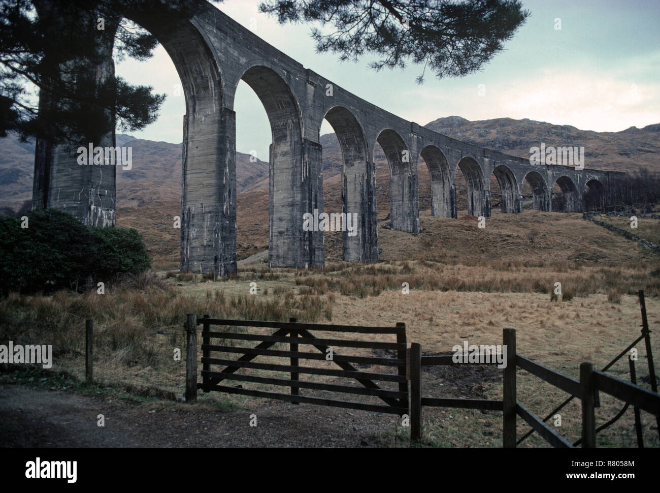 La British Rail West Highland Line, viadotto Glenfinnan, Inverness-Shire, Scozia Foto Stock