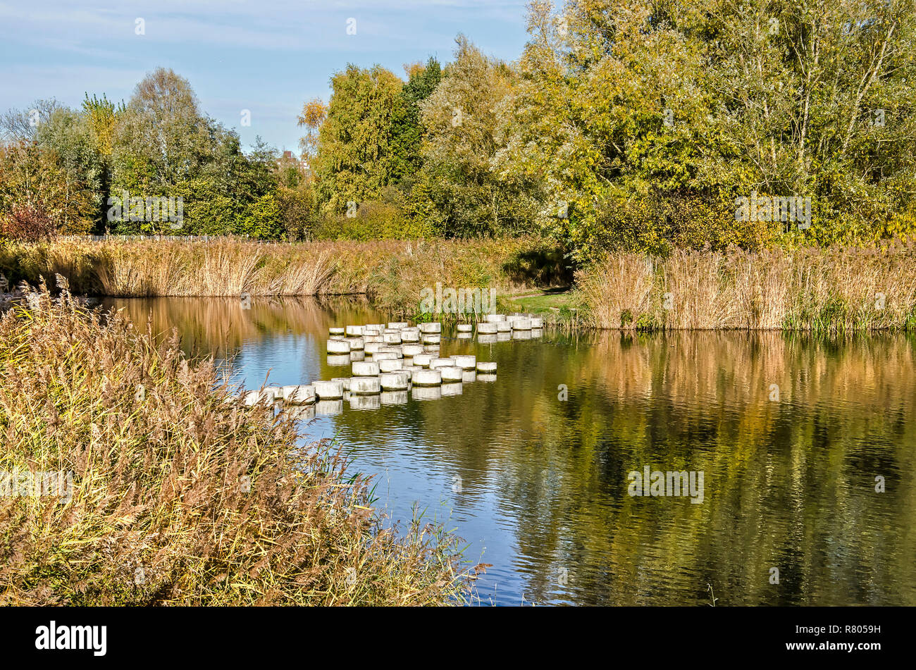 Rotterdam, Paesi Bassi, 6 Novembre 2018: vista di un piccolo lago nel confine meridionale del parco circondato da canneti e alberi con pietre miliari principali Foto Stock