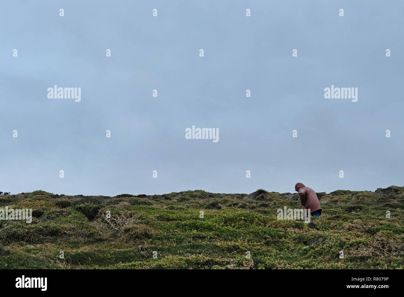 Una piccola figura nel paesaggio di Cornwall, Regno Unito Foto Stock