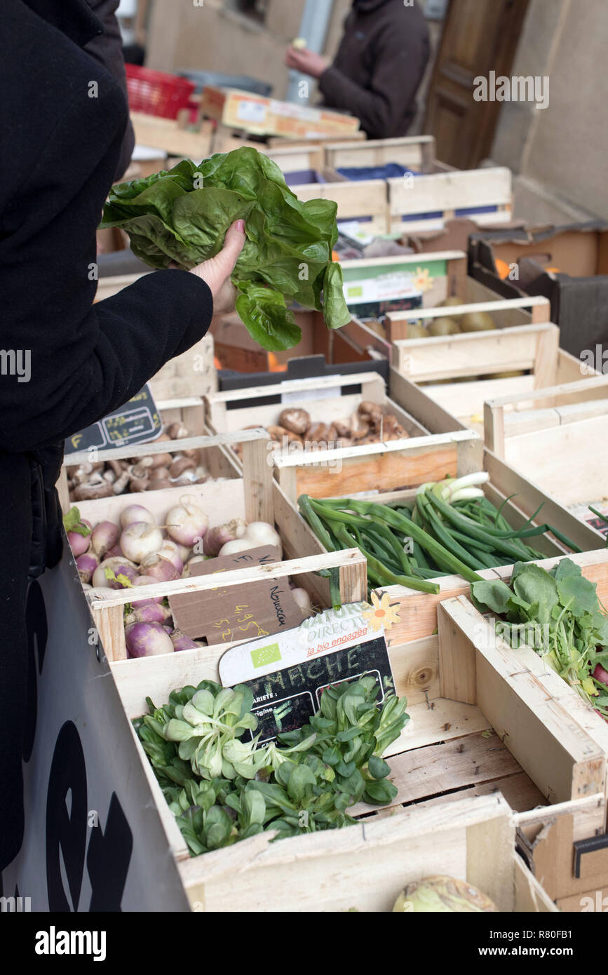Privas (sud-est della Francia): mercato del sabato mattina. Pressione di stallo di verdura biologica. La mano di un cliente, donna, tenendo una lattuga. Foto Stock