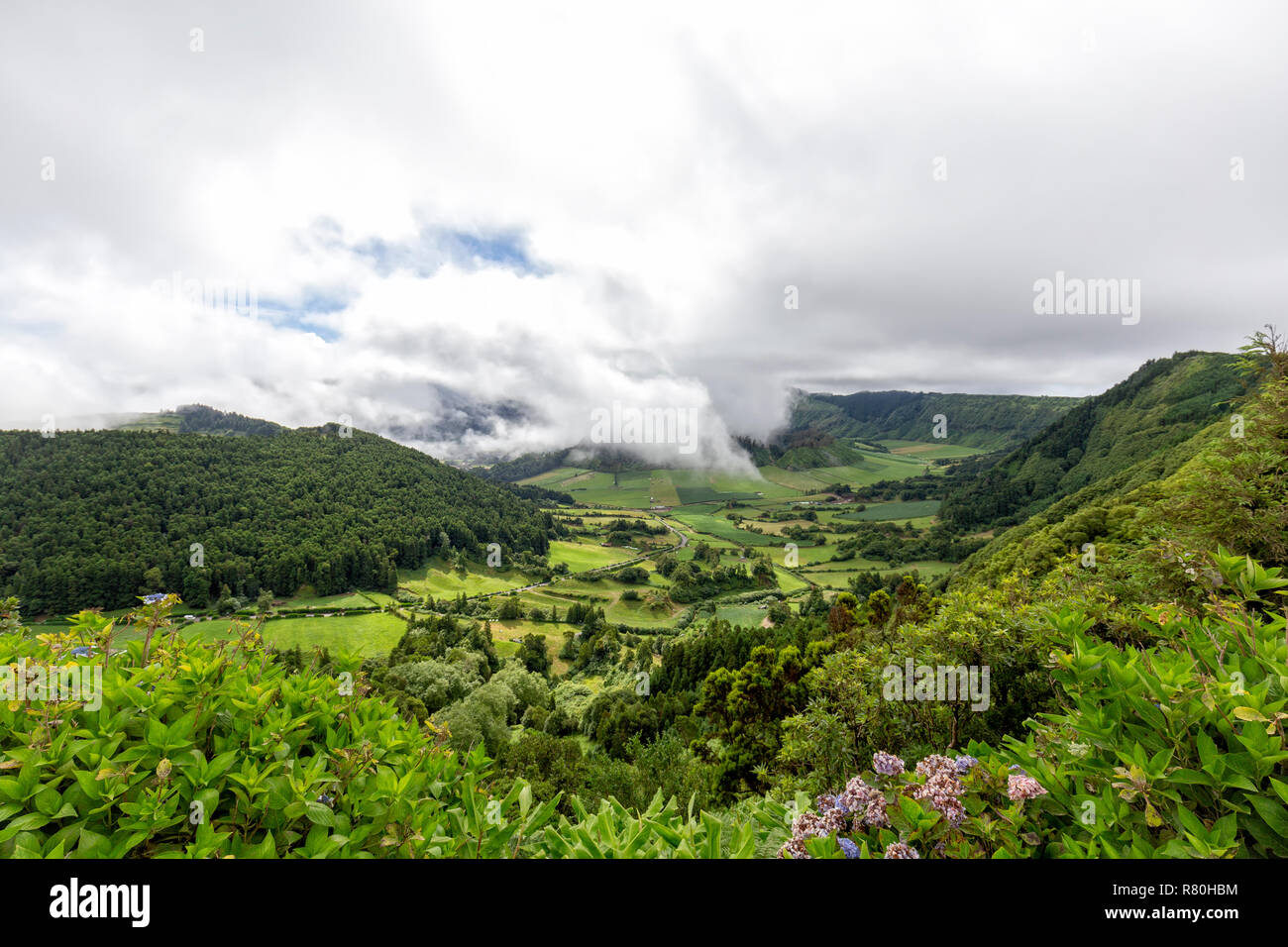 Fiori e splendidi e verdi pascoli nei pressi di Sete Cidades in Sao Miguel. Foto Stock