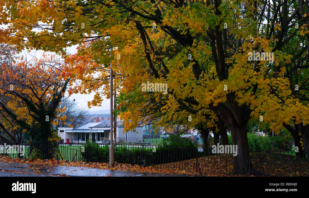 Bangor City Bowling Club, Bangor, Gwynedd, il Galles del Nord. Immagine presa nel novembre 2018. Foto Stock