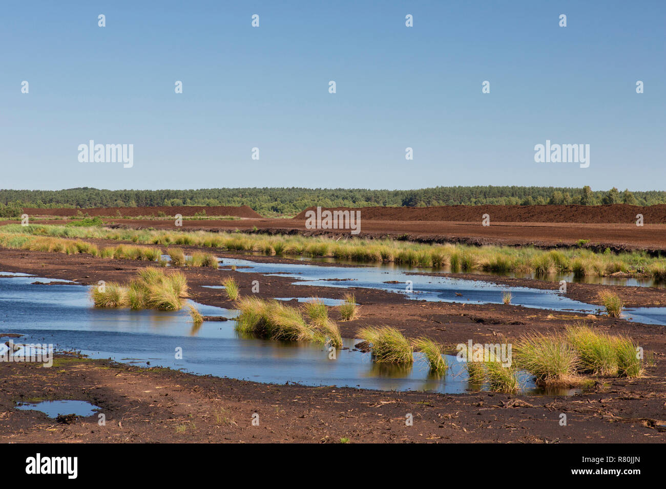 Estrazione di torba a scatole Moor. Bassa Sassonia, Germania Foto Stock