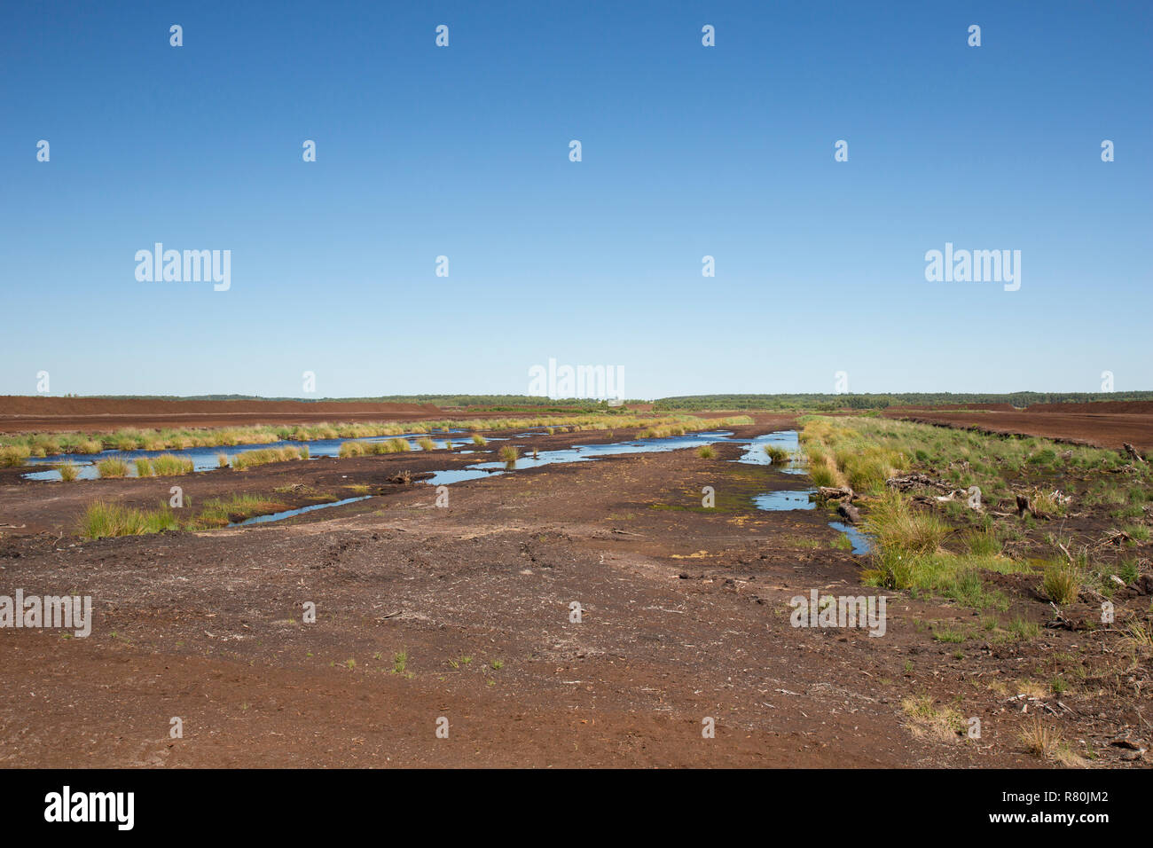 Estrazione di torba a scatole Moor. Bassa Sassonia, Germania Foto Stock