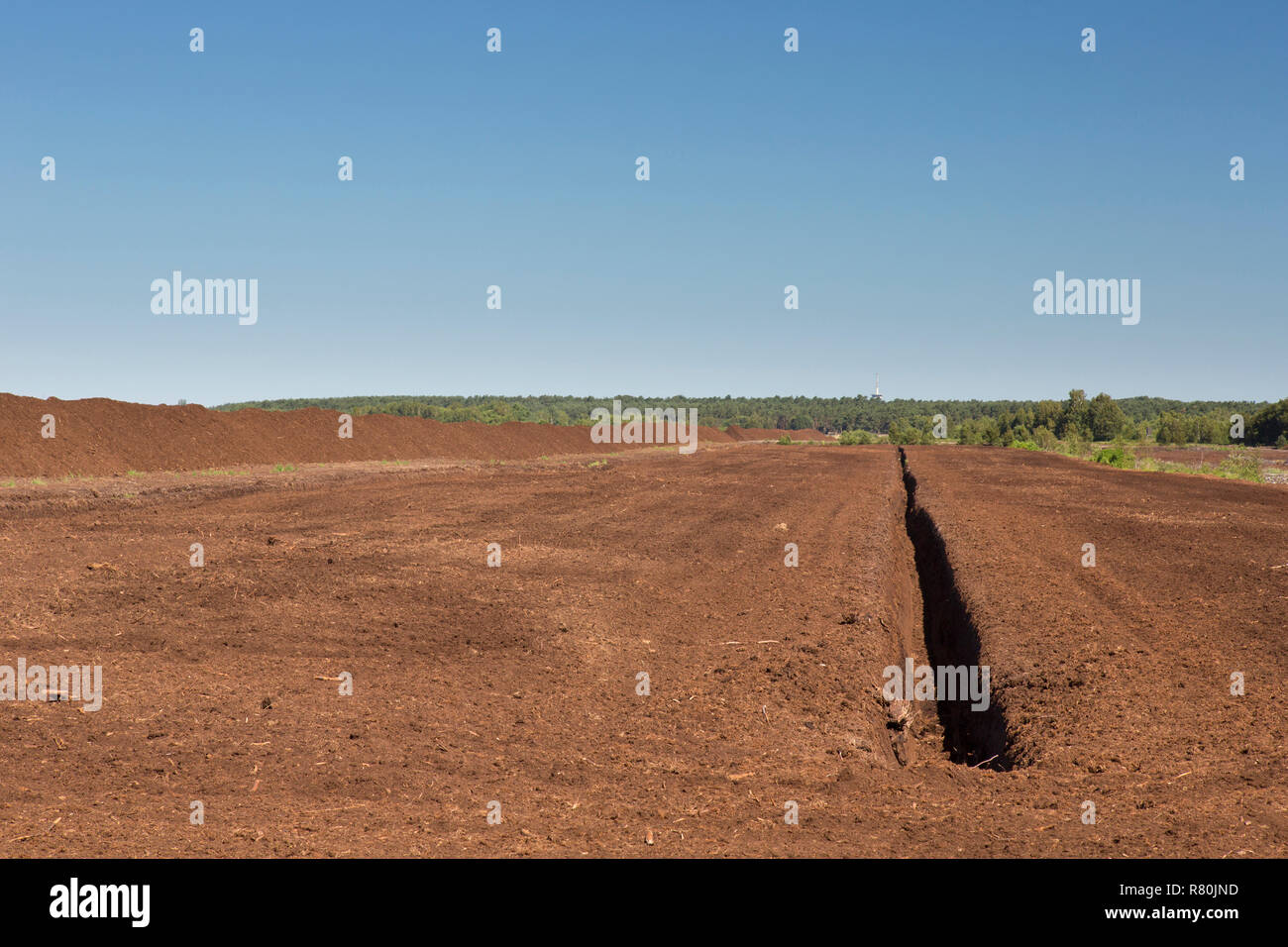 Estrazione di torba a scatole Moor. Bassa Sassonia, Germania Foto Stock