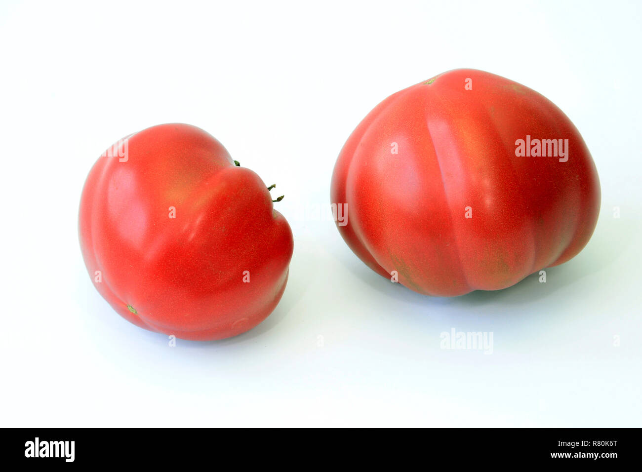 (Pomodoro Solanum lycopersicumm), varietà: Giant Ox Hearth-Tomato, tori Heart-Tomato. Due frutti maturi. Studio Immagine contro uno sfondo bianco Foto Stock