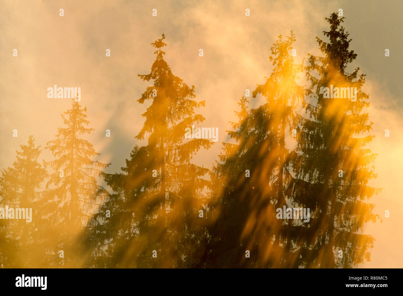 La nebbia salire al di sopra di un fiume in l'ultima luce del sole e la vasca da bagno il paesaggio nella luce mistica. Alti Tatra, Slovacchia Foto Stock