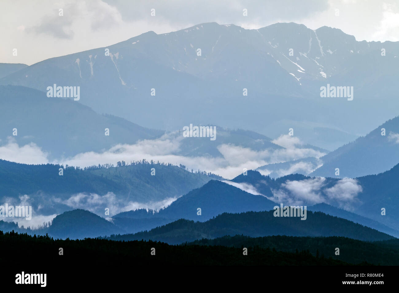 Bassi Tatra. Verticale dopo una doccia a pioggia. Interno Carpazi occidentali, Slovacchia Foto Stock