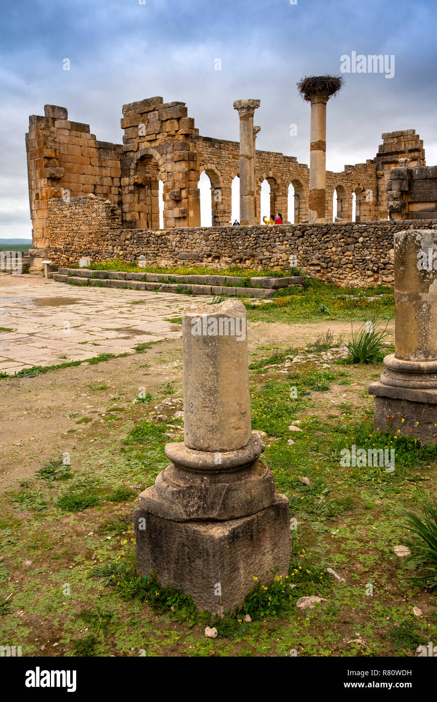 Il Marocco, Meknes, Volubilis sito romano, colonna spezzata al di fuori del Capitol Building rovine, Foto Stock