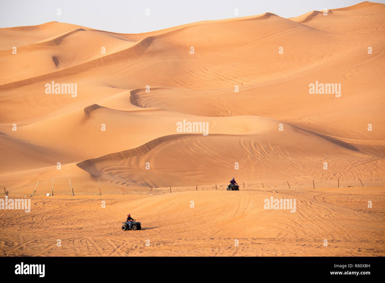Ciclisti di Quak che cavalcano tra le dune in un safari nel deserto a Dubai, Emirati Arabi Uniti. Foto Stock