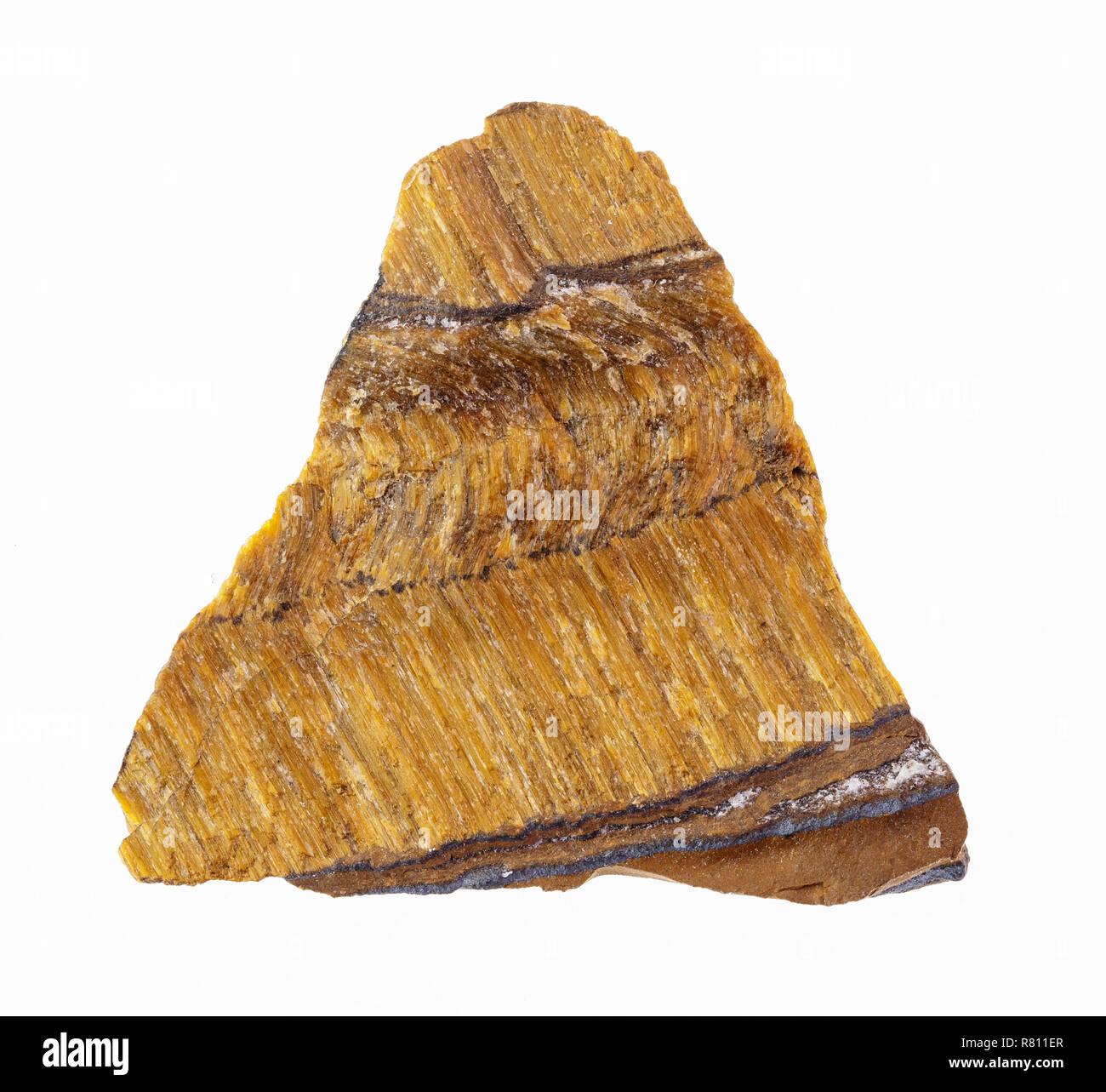 La fotografia macro di naturale minerale da collezione geologica - materie occhio di tigre (occhio di tigre) pietra su sfondo bianco Foto Stock