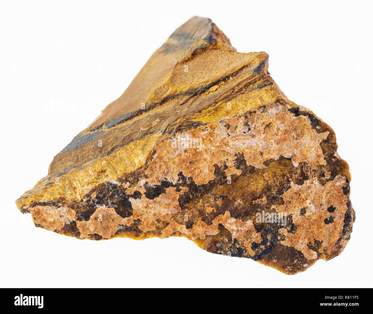 La fotografia macro di naturale minerale da collezione geologica - materie occhio di tigre (occhio di tigre) gemma su sfondo bianco Foto Stock