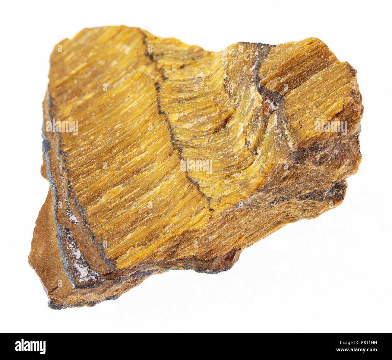 La fotografia macro di naturale minerale da collezione geologica - ruvida occhio di tigre (occhio di tigre) pietra su sfondo bianco Foto Stock