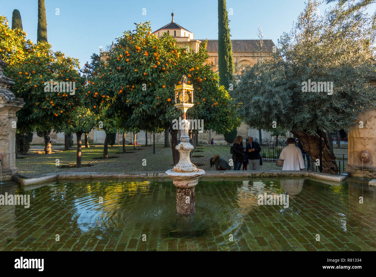 Fontana al Patio de los Naranjos, Piazza Orange ex califfato cortile, e stagno, la Moschea di Cordova, la cattedrale, Andalusia, Spagna. Foto Stock