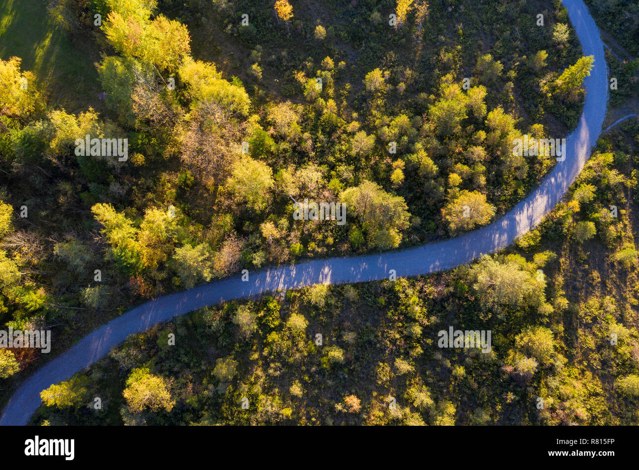 Percorso curva in Isarauen, vicino Gaißach, drone shot, Isarwinkel, Alta Baviera, Baviera, Germania Foto Stock