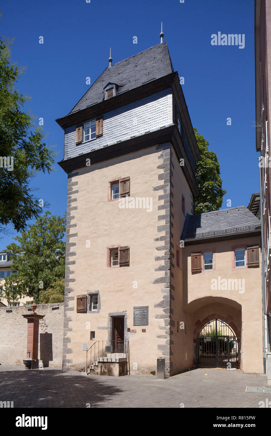 Kuhhirtenturm, in stile tardo gotico torre di difesa, Sachsenhausen, Frankfurt am Main, Hesse, Germania Foto Stock