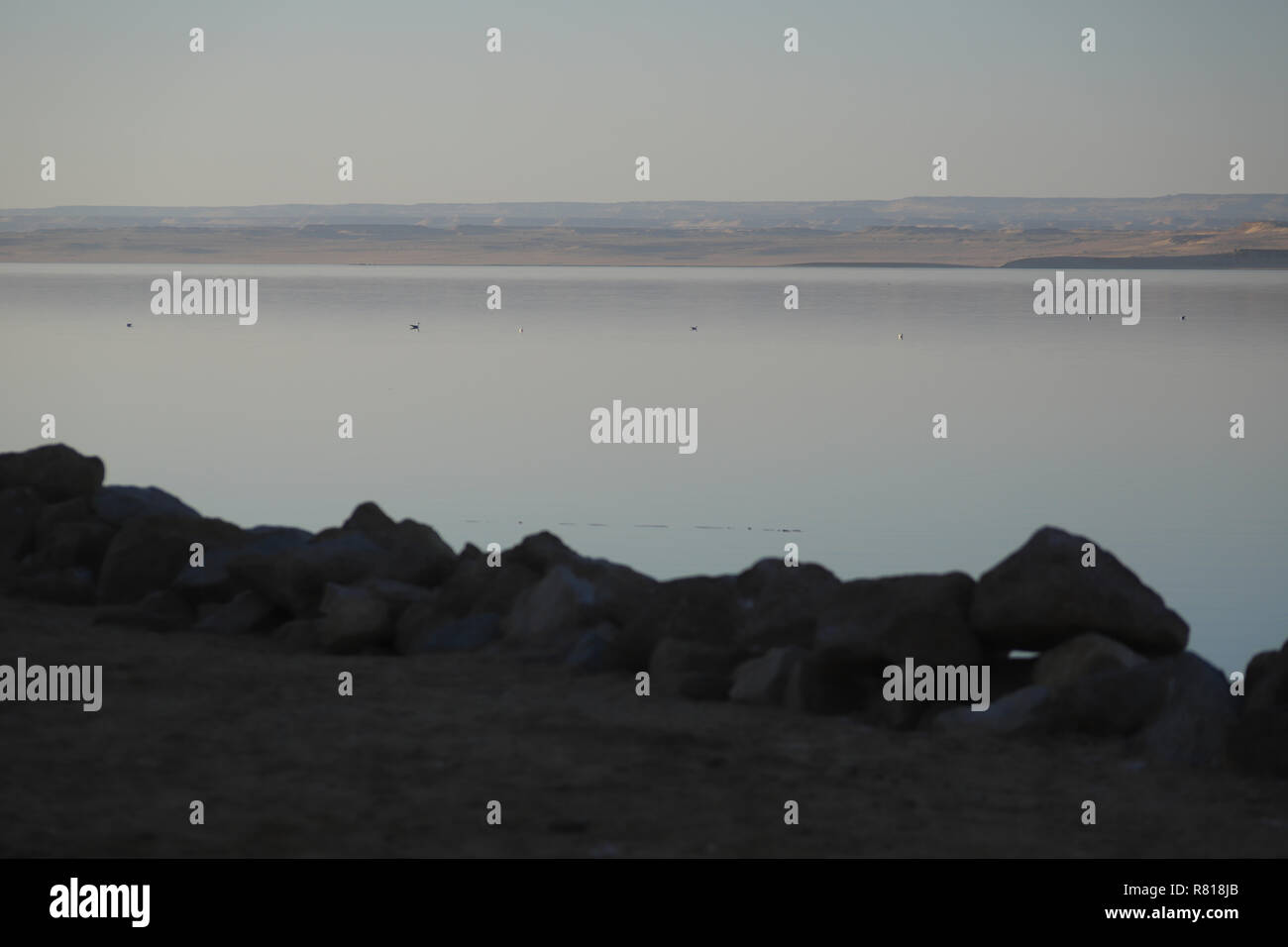 Lago Qarun al pomeriggio Foto Stock