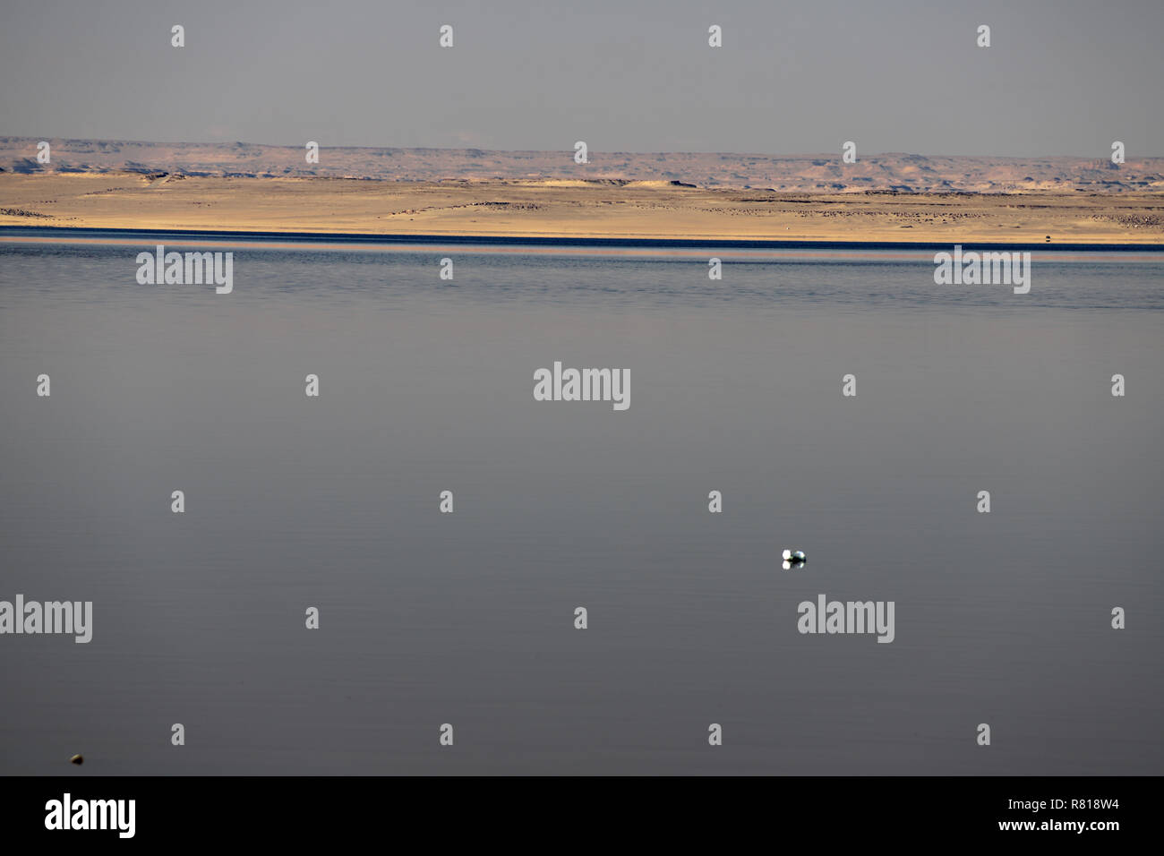 Lago Qarun a mezzogiorno Foto Stock