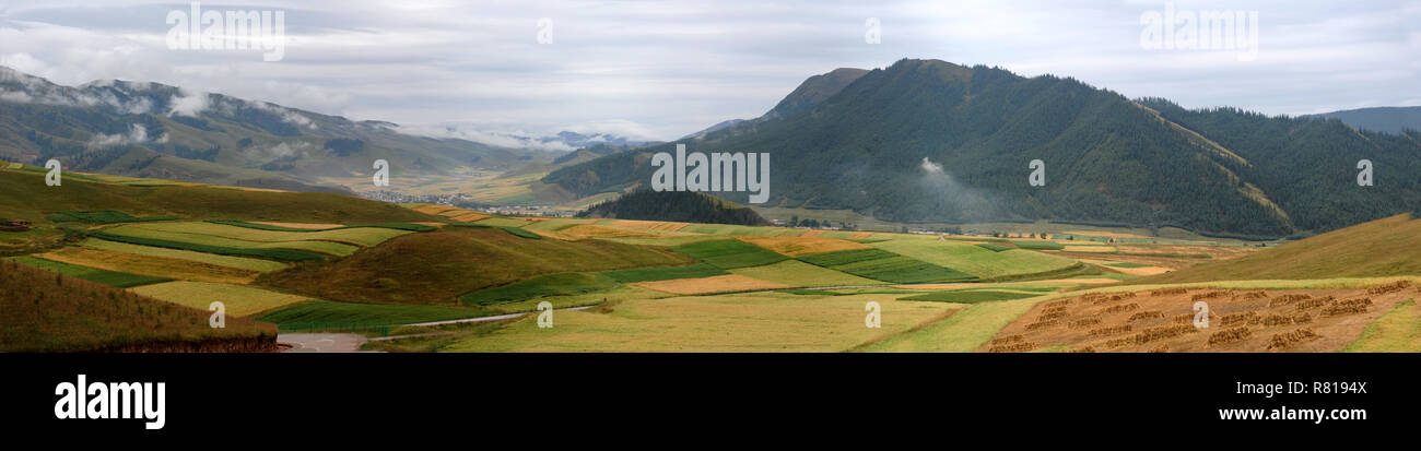 Qinghai ZhuoErShan qilian scenario Foto Stock