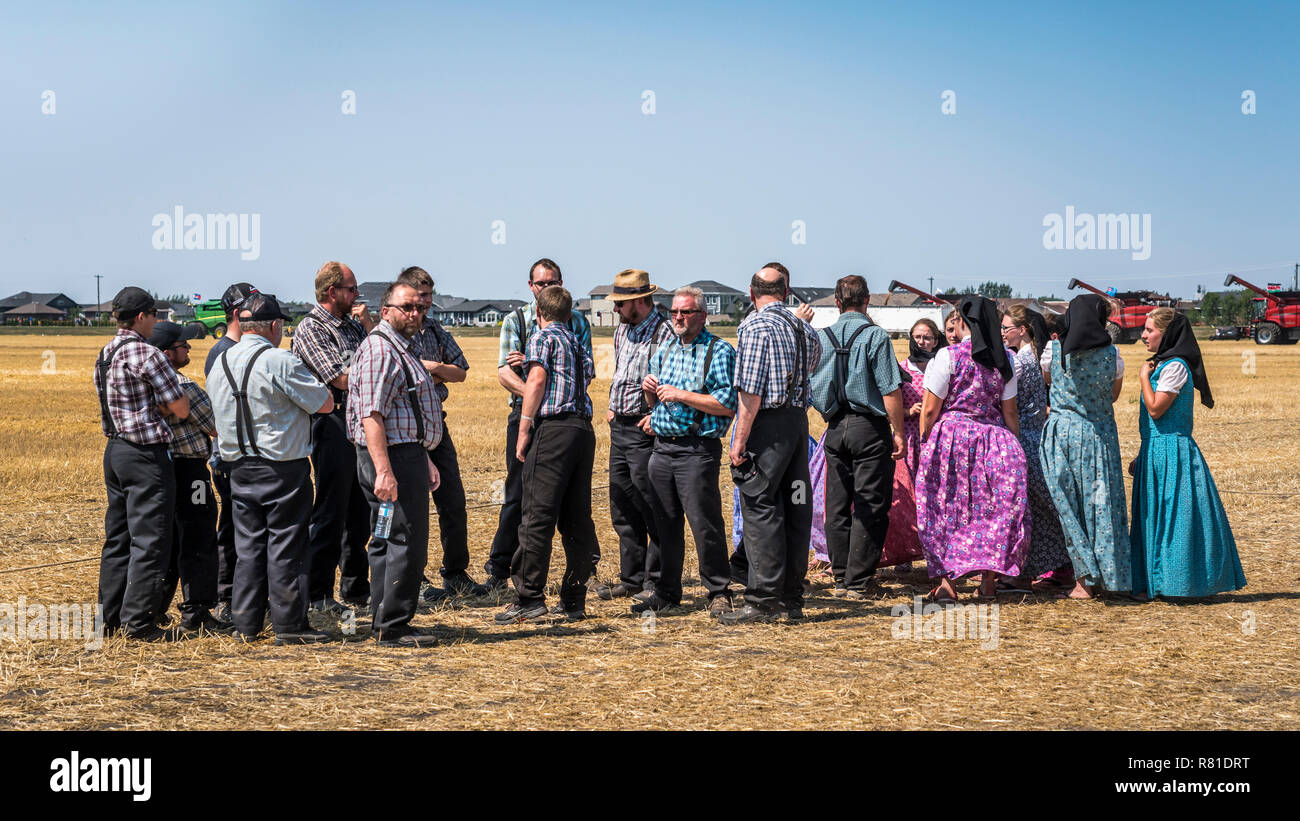 Hutterites Godetevi il raccolto per i bambini evento in Winkler, Manitoba, Canada. Foto Stock