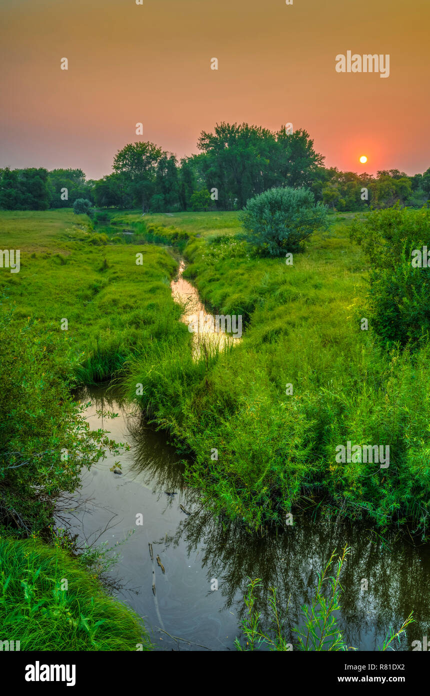 Un piccolo ruscello al tramonto vicino Reinfeld, Manitoba, Canada. Foto Stock