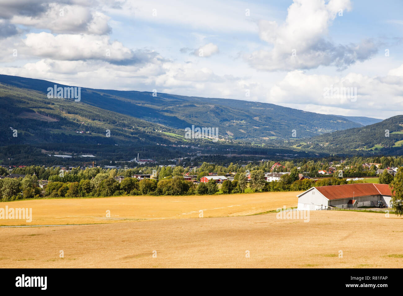 Paesaggio con campo di grano, le montagne e il villaggio in Norvegia. Foto Stock