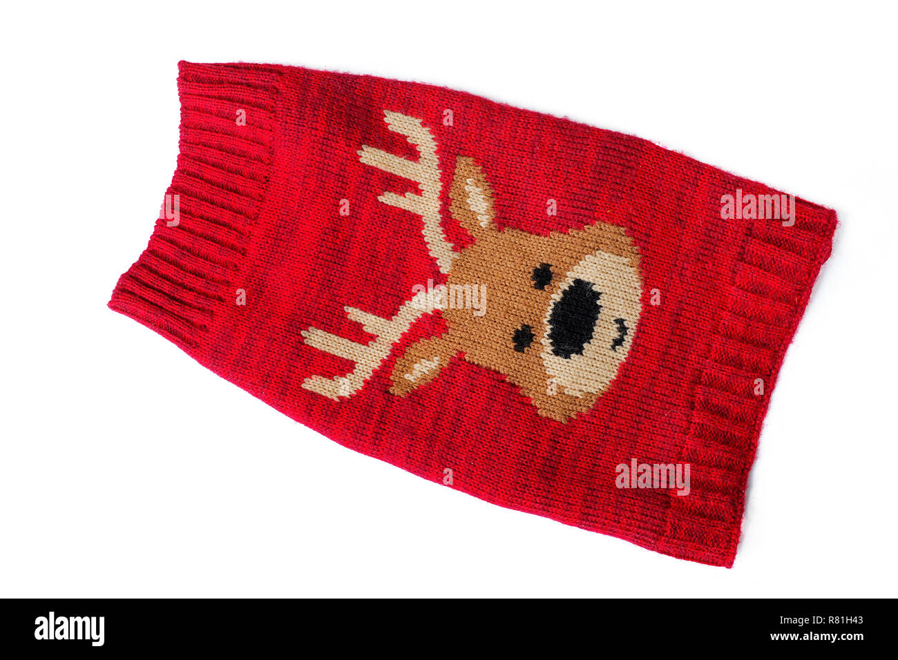 Carino piccolo cane coat isolato su bianco. Foto Stock