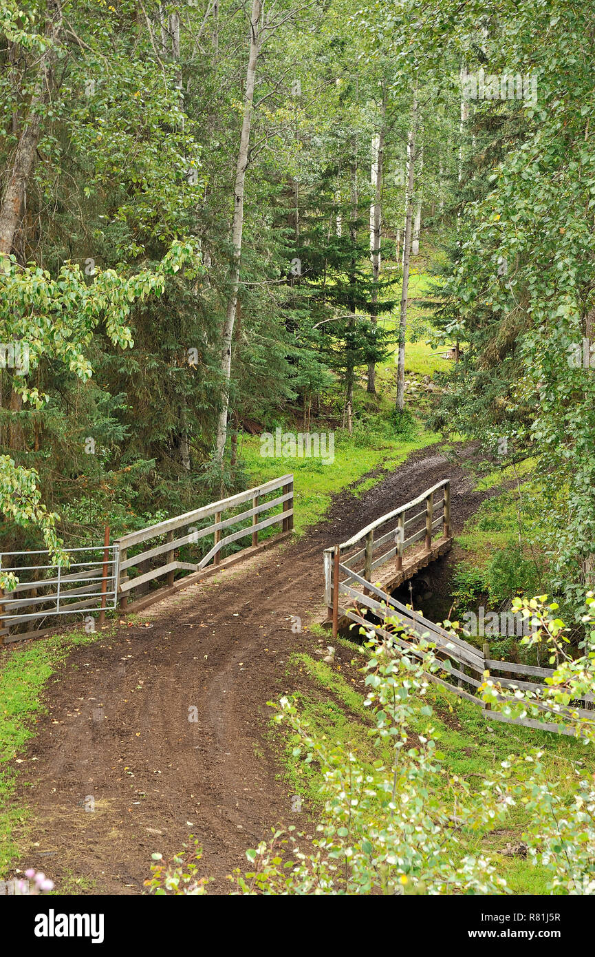 Un'immagine verticale di un ponte di legno che attraversa un torrente su una corsia di una strada sterrata in una fattoria rurale della Columbia britannica in Canada Foto Stock