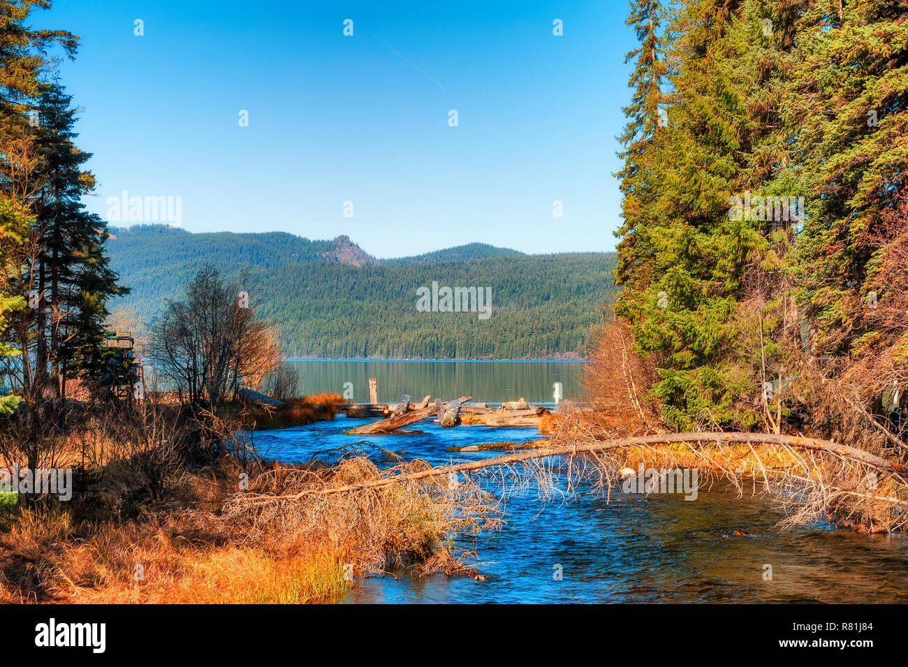 Un flusso si svuota nel Odel Lago in Oregon cascata della gamma. Foto Stock