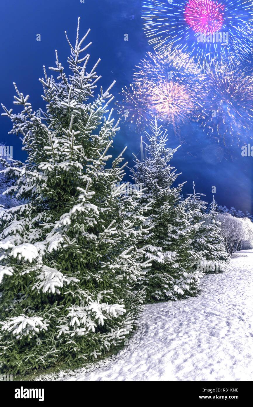 Sfondi Paesaggi Invernali Natalizi.Paesaggio Invernale Con Alberi Di Natale Con Neve Contro Lo Sfondo Di Fuochi D Artificio Di Festa Di Saluto Per Celebrare Il Nuovo Anno 2019 O Di Natale Foto Stock Alamy