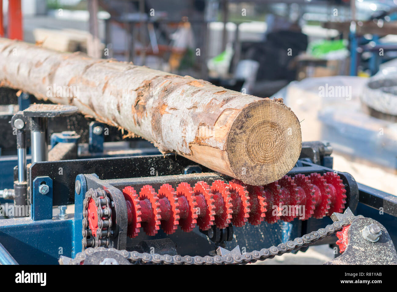 Woodworking enterprise. Taglio di legno Macchina. Parzialmente fresati log su un portatile di legname macchina fresatrice Foto Stock
