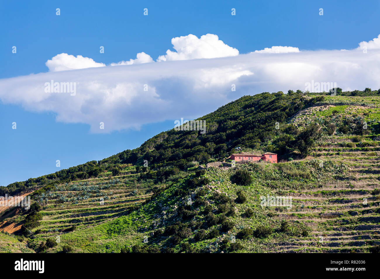 Casa Rossa su un pendio terrazzato in Teno Alto, a nord ovest di Tenerife, Isole Canarie, Spagna Foto Stock