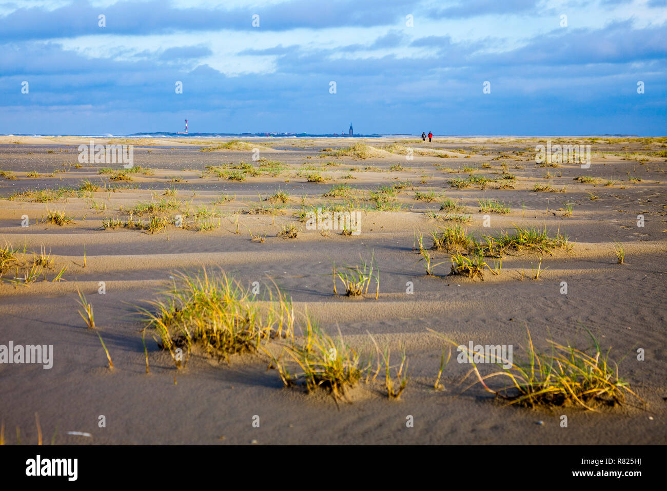 Paesaggio di dune in inverno, Spiekeroog, Est Isole Frisone, Frisia orientale, Bassa Sassonia, Germania Foto Stock