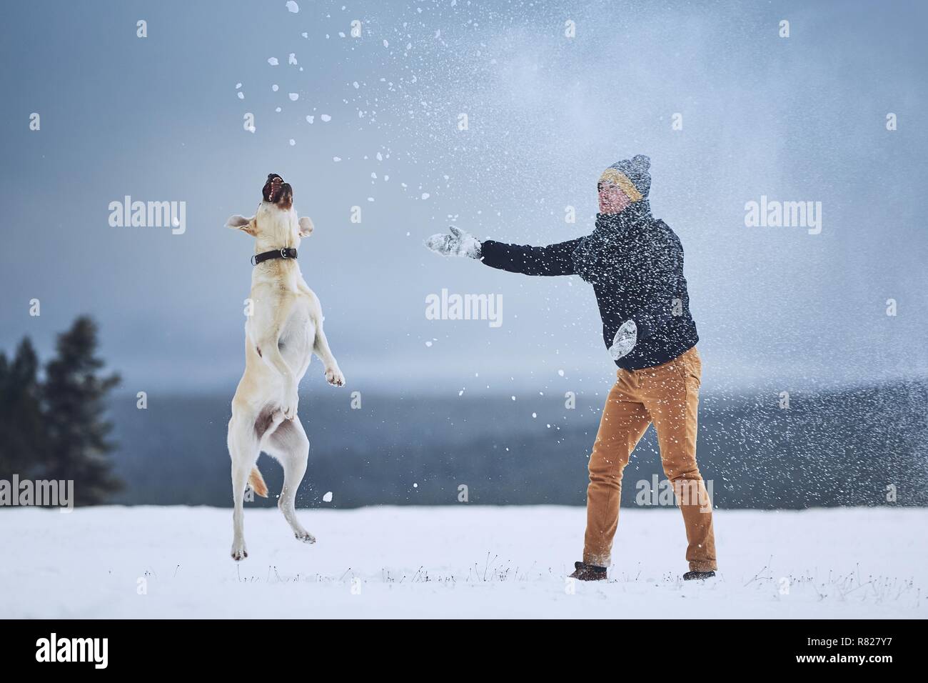 L'amicizia tra pet proprietario e il suo cane. Giovane uomo giocando con il labrador retriever nel paesaggio invernale. Foto Stock
