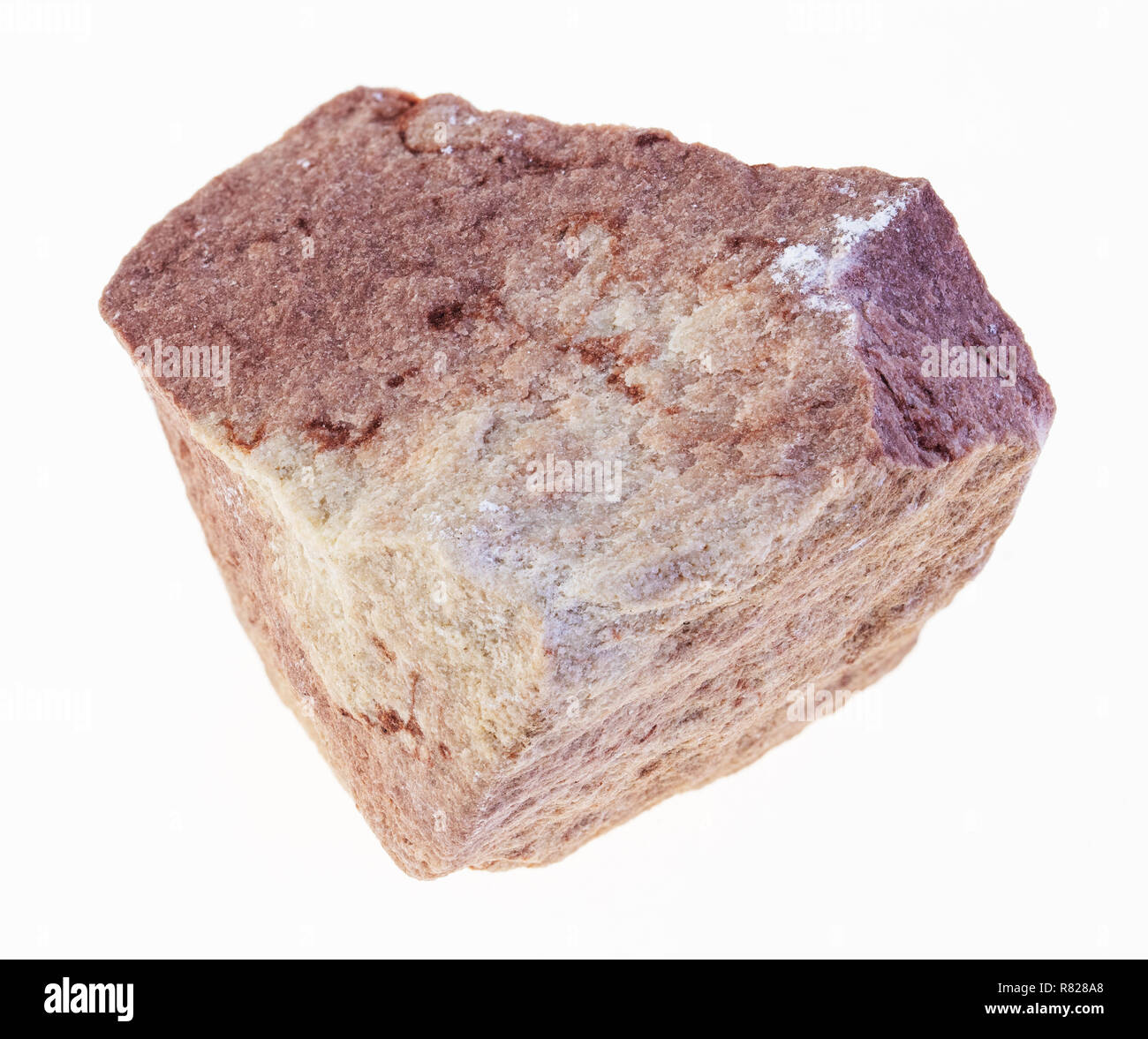 La fotografia macro di naturale minerale da collezione geologica - grezzo di pietra arenaria calcarea pietra su sfondo bianco Foto Stock