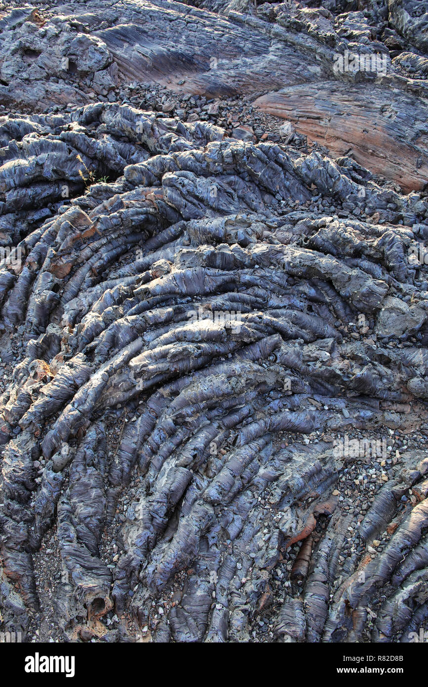 Il flusso di lava campo al Cratere Nord Sentiero di flusso, i crateri della luna monumento nazionale, Idaho, Stati Uniti d'America. Foto Stock