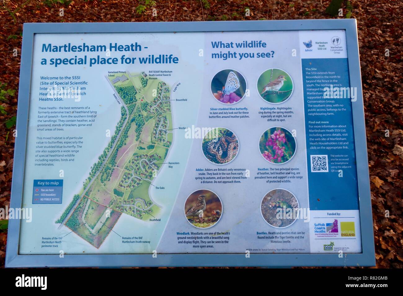 La fauna selvatica informazioni e la mappa in corrispondenza del bordo di Martlesham Heath, Suffolk, Regno Unito, dicembre 2018. Foto Stock