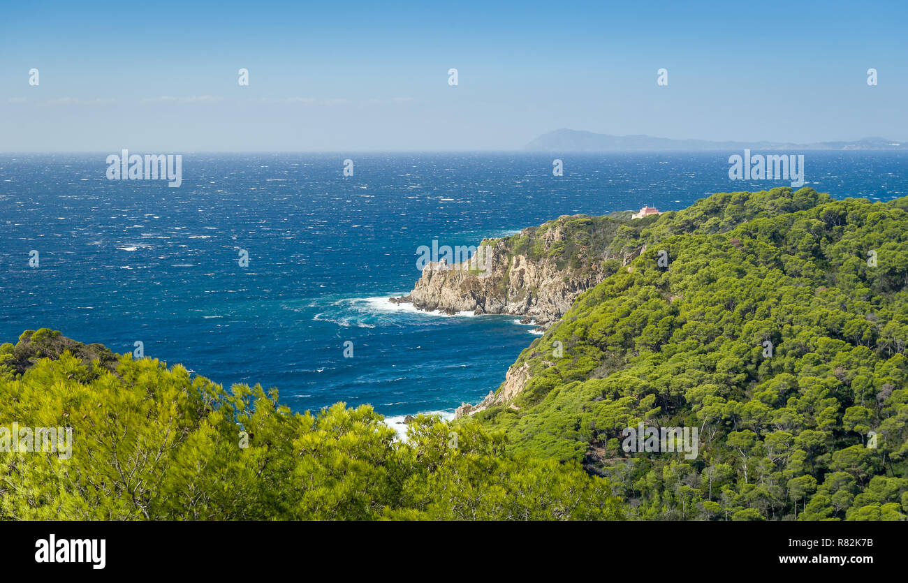 Isola di Porquerolles bella vista del paesaggio dal percorso a piedi, Provenza Costa Azzurra, Francia Foto Stock