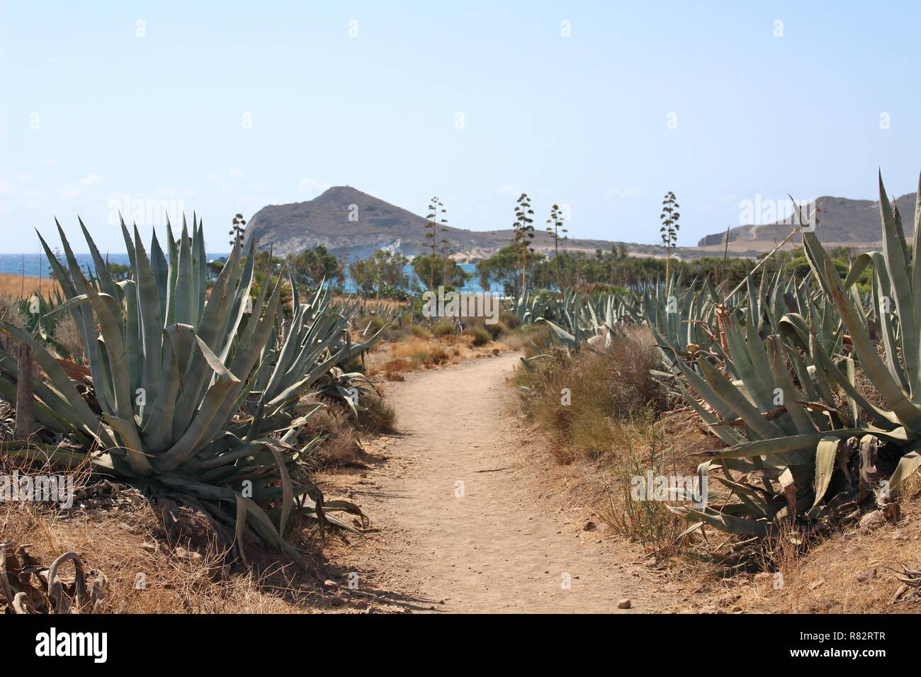 Percorso del deserto che conduce alla spiaggia Foto Stock