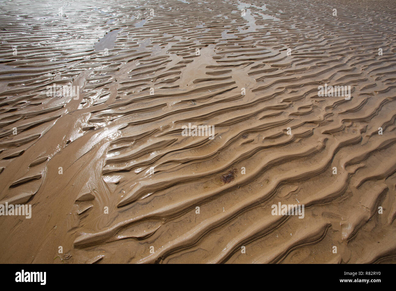 Pozzetti accanto il mare spiaggia di Norfolk. Marchi in sabbia Foto Stock