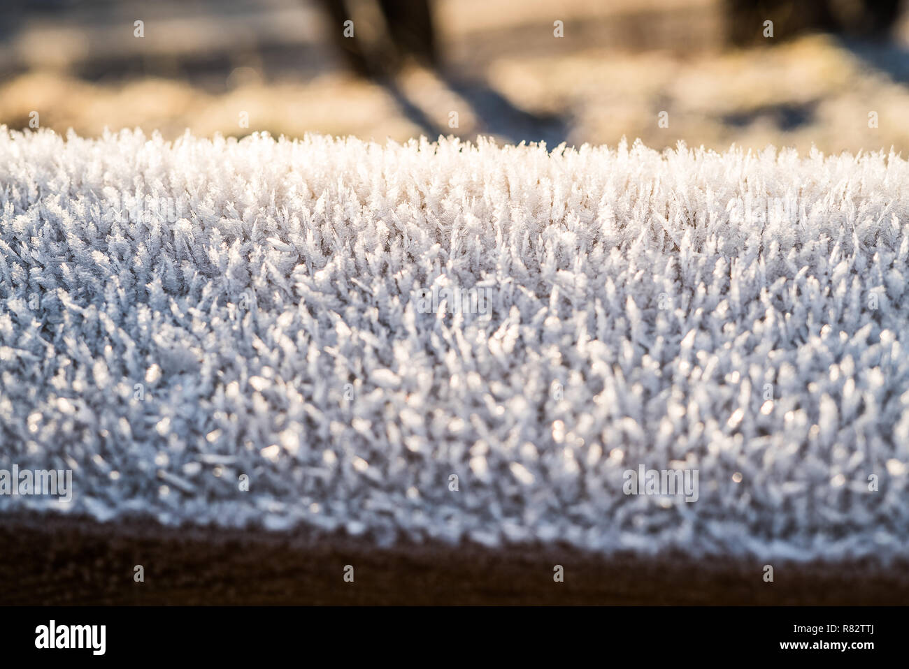 Primo piano dettaglio del cristallizzato bianco freddo trasformata per forte gradiente frost a copertura di un corrimano congelata al di fuori di un inizio fresco mattino invernale, con copyspace Foto Stock