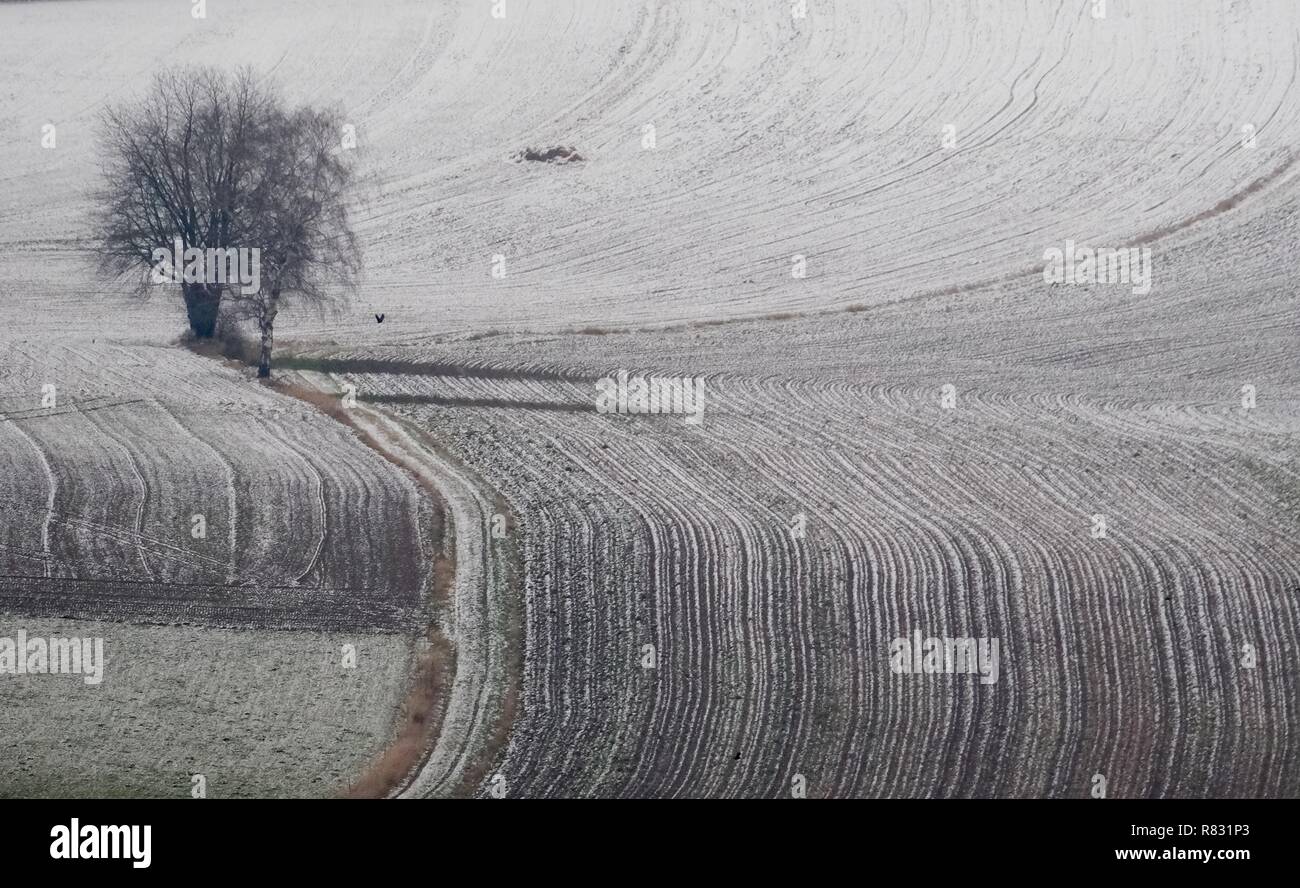 12 dicembre 2018, Sassonia, Flöha: i campi e i prati sono parzialmente coperti di neve. Nei prossimi giorni il pupazzo di neve meteo prevale in Sassonia. Foto: Sebastian Willnow/dpa-Zentralbild/dpa Foto Stock