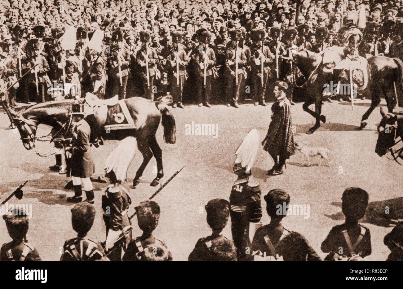 Il re Edoardo VII preferito di cane, Cesare, a seguito del re del caricabatteria (horse) Edward durante i funerali la mattina del 17 maggio 1910. La sua bara è stata posta su un carrello della pistola e tirato da cavalli neri a Westminster Hall, con il nuovo re (George V) e la sua famiglia a piedi dietro. A seguito di un breve servizio, la famiglia reale a sinistra e la hall è stato aperto al pubblico; oltre 400.000 persone depositata oltre la bara nel corso dei prossimi due giorni. Foto Stock