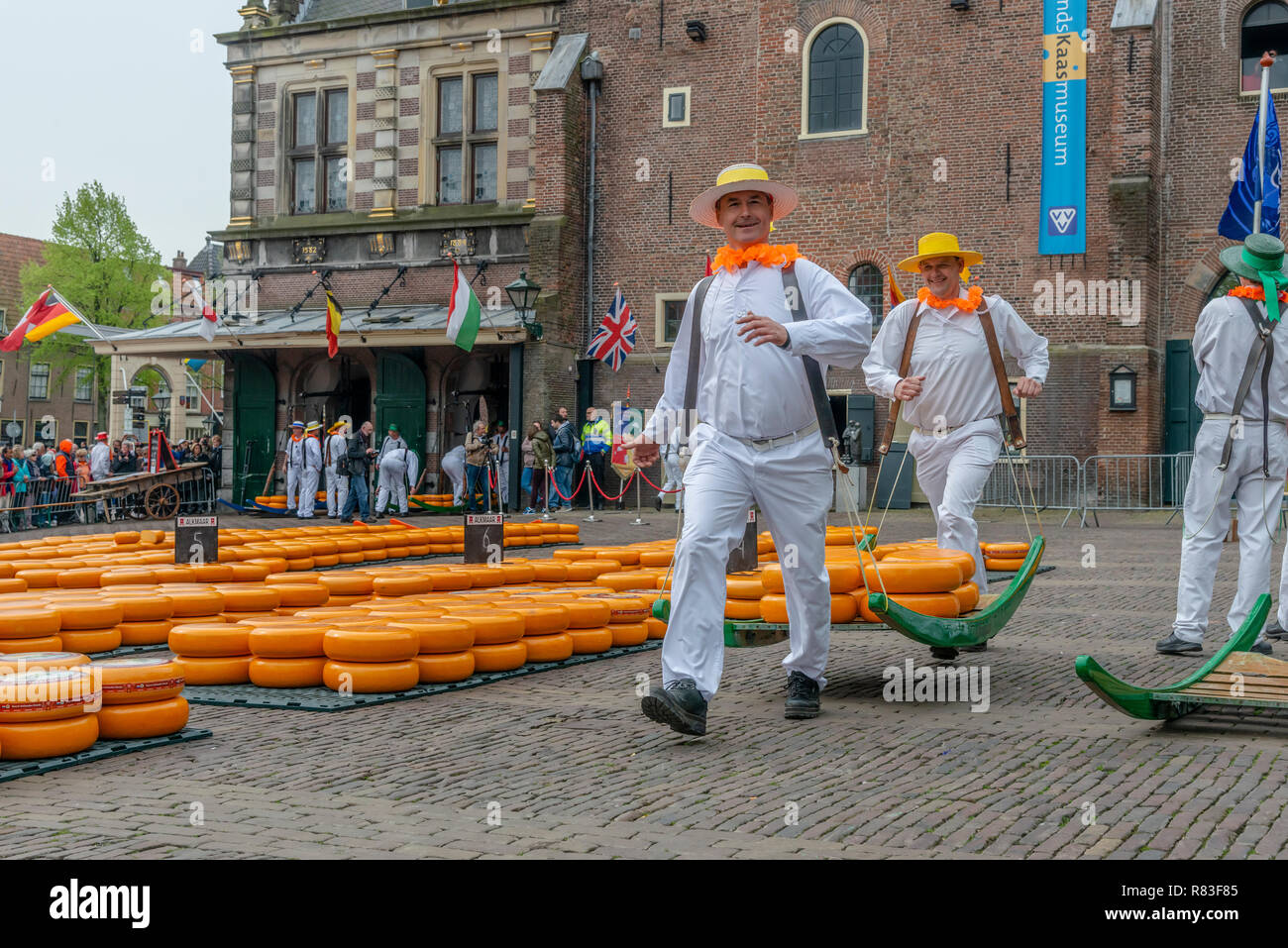 Il divertente mercato del formaggio avviene sul Waagplein in Alkmaar ogni settimana durante la primavera e l'estate, Holland, Paesi Bassi Foto Stock