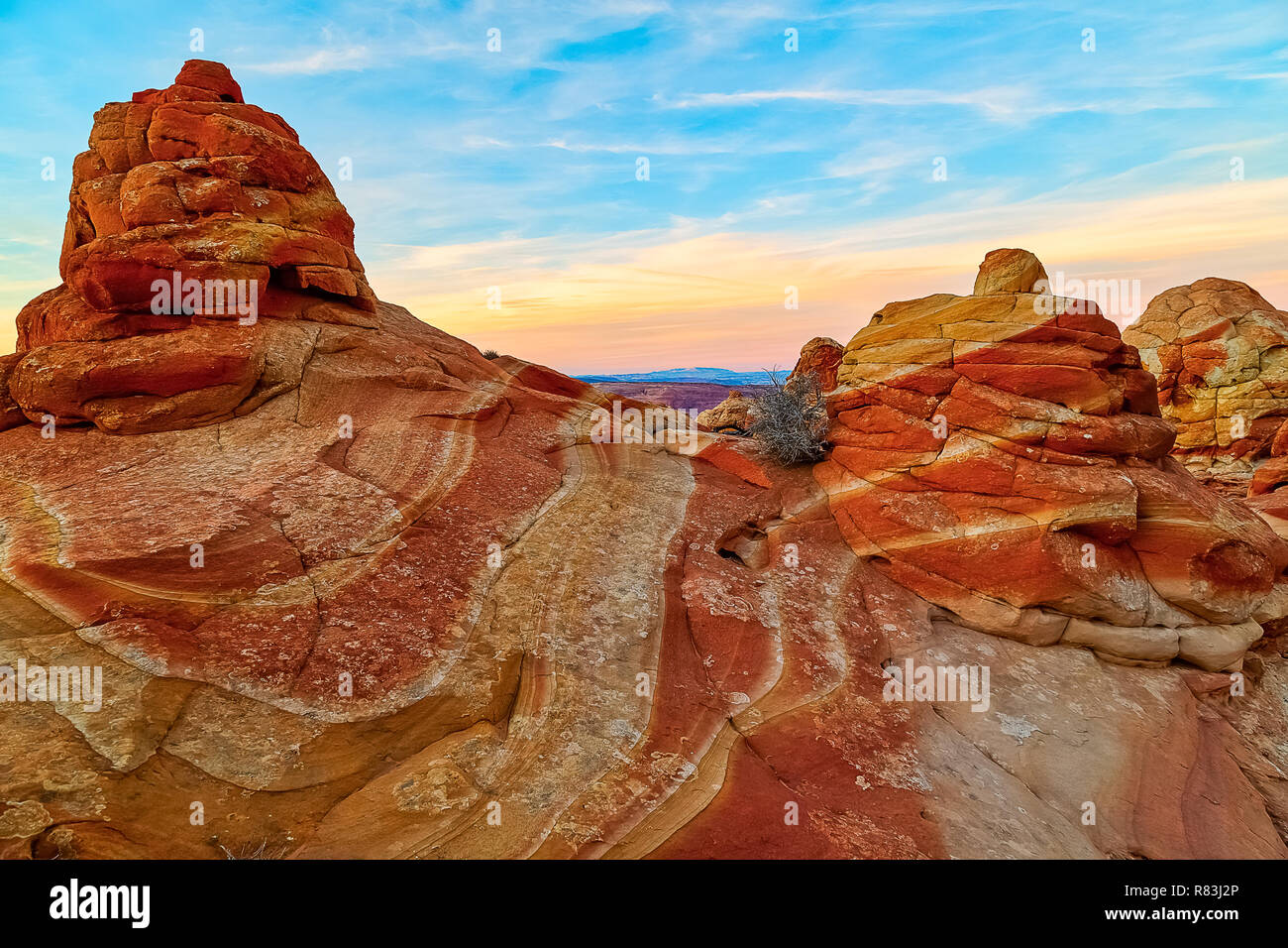 Sud Cayote Buttes Arizona Foto Stock