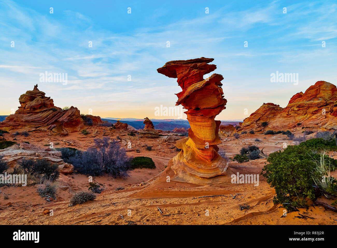 Sud Cayote Buttes Arizona Foto Stock