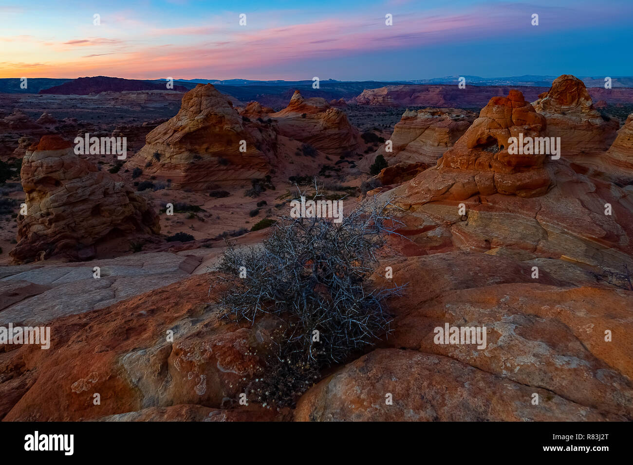 Sud Cayote Buttes Arizona Foto Stock