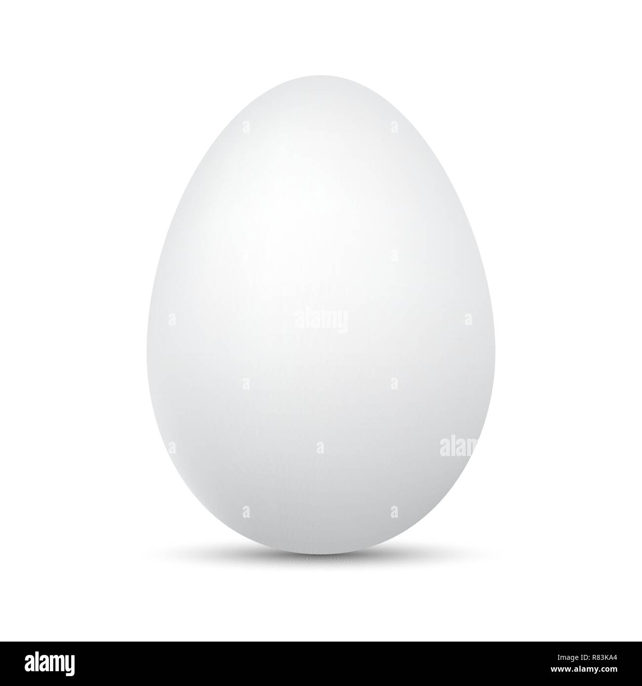 Uovo bianco isolato. Illustrazione Vettoriale. Uovo di pollo con ombra  Immagine e Vettoriale - Alamy