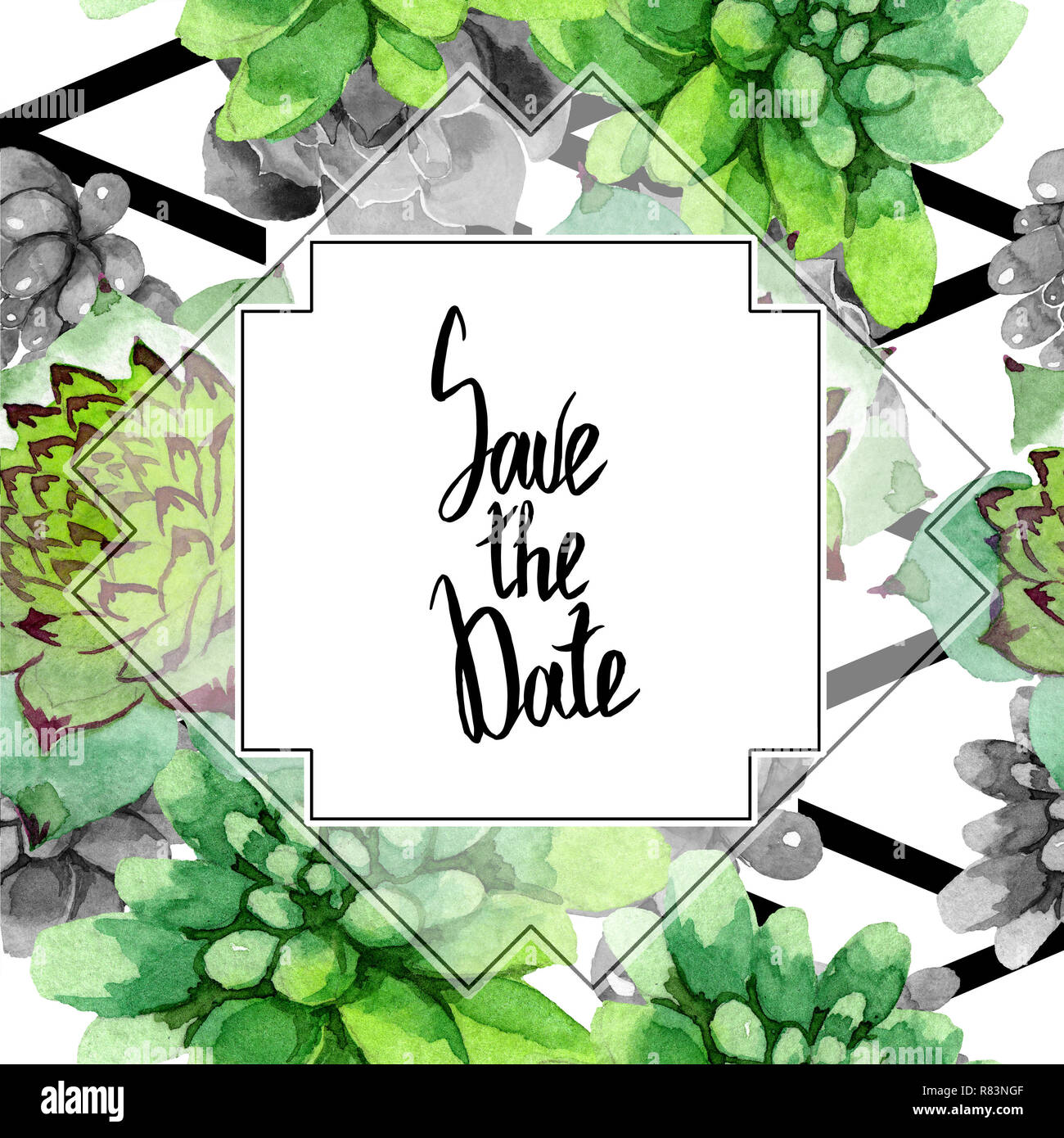 Incredibile succulenti. Salvare la data della calligrafia calligrafia del monogramma. Acquerello illustrazione dello sfondo impostato. Telaio geometrica quadrata. Aquarelle disegnare a mano Foto Stock