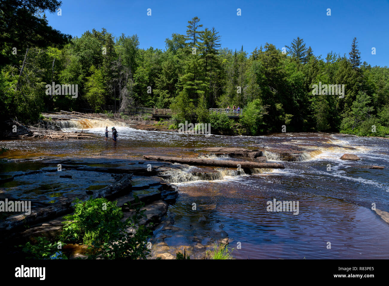 Abbassare Tahquamenon Falls in Tahquamenon Falls State Park si trova vicino a Paradise, Michigan nella Penisola Superiore del Michigan.. Foto Stock